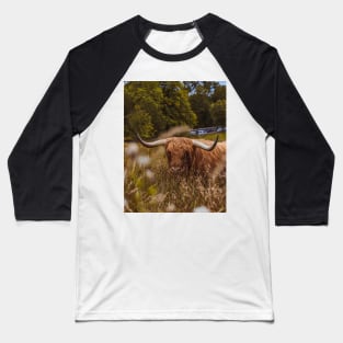 Scottish Highland Bull | Unique Beautiful Travelling Home Decor | Phone Cases Stickers Wall Prints | Scottish Travel Photographer  | ZOE DARGUE PHOTOGRAPHY | Glasgow Travel Photographer Baseball T-Shirt